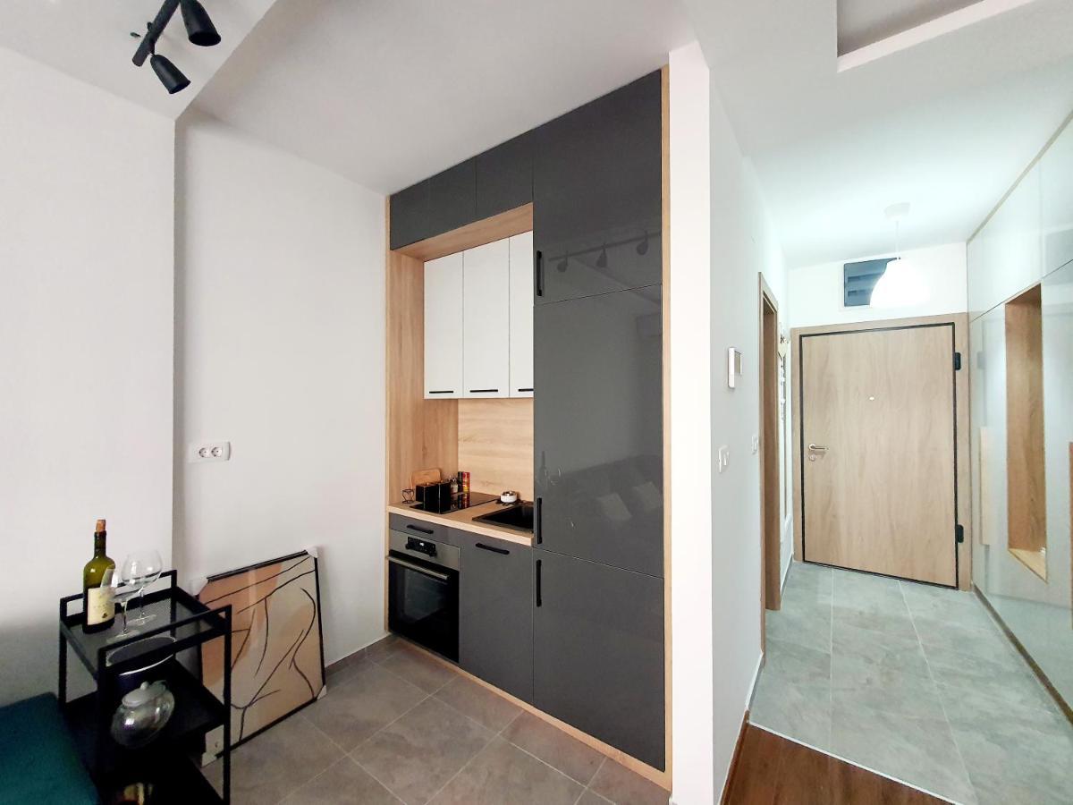 Apartman Ana Lux بودغوريتْسا المظهر الخارجي الصورة